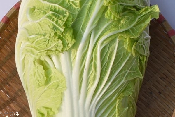 大白菜能降血糖嗎 有這個功效 大白菜能降血糖嗎 有這個功效