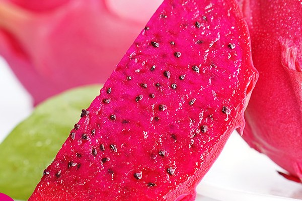 火龍果長(zhǎng)的好不好 肚子大的才好 火龍果長(zhǎng)的好不好 肚子大的才好