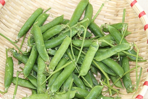 豌豆會過敏嗎 正常情況下不會