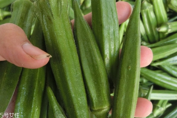 秋葵是什么味道 味道很獨(dú)特 秋葵是什么味道 味道很獨(dú)特