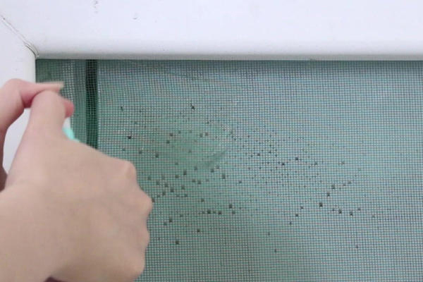 紗窗怎么清洗方便又快 最實用的清潔辦法 紗窗怎么清洗方便又快 最實用的清潔辦法