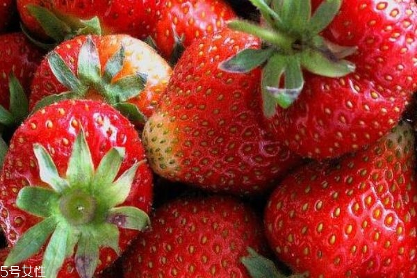 如何挑選草莓 4步教你挑選出最好的草莓 如何挑選草莓 4步教你挑選出最好的草莓
