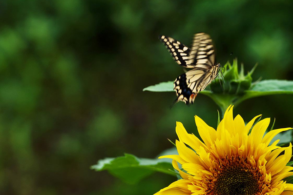 憂郁癥什么征兆 10個(gè)日常習(xí)慣自測(cè)一下 憂郁癥什么征兆 10個(gè)日常習(xí)慣自測(cè)一下