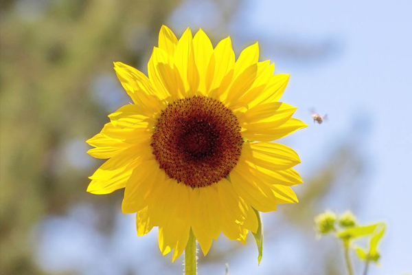 憂郁癥什么征兆 10個(gè)日常習(xí)慣自測(cè)一下 憂郁癥什么征兆 10個(gè)日常習(xí)慣自測(cè)一下