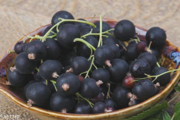 黑加侖和葡萄的區(qū)別 黑加侖的功效和作用 黑加侖和葡萄的區(qū)別 黑加侖的功效和作用