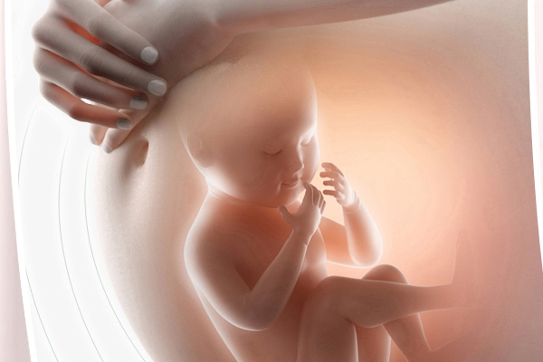 胎心發(fā)育會有什么癥狀 4種反常別緊張 胎心發(fā)育會有什么癥狀 4種反常別緊張