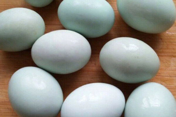 咸鴨蛋兒童能吃嗎 家長必須知道 咸鴨蛋兒童能吃嗎 家長必須知道