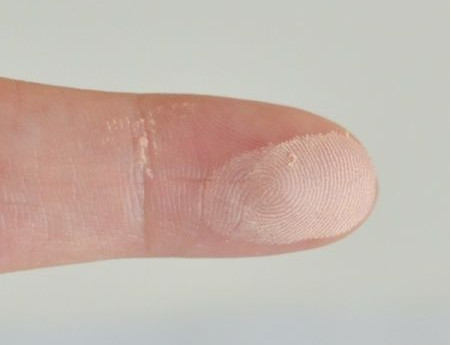 canmake棉花糖粉餅色號有幾種？canmake棉花糖粉餅ml mo對比