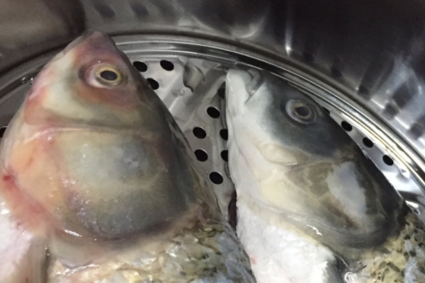 剁椒魚頭能放醋嗎 可以適當(dāng)放一些 剁椒魚頭能放醋嗎 可以適當(dāng)放一些