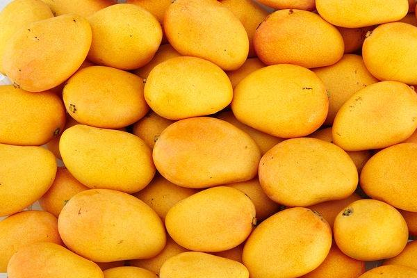 芒果捏軟了還能吃嗎 時(shí)間一長就會發(fā)爛