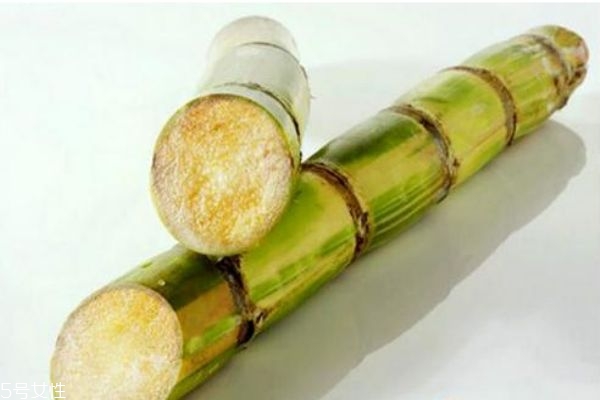 冬天吃什么水果好 冬季養(yǎng)生保健的小常識(shí) 冬天吃什么水果好 冬季養(yǎng)生保健的小常識(shí)