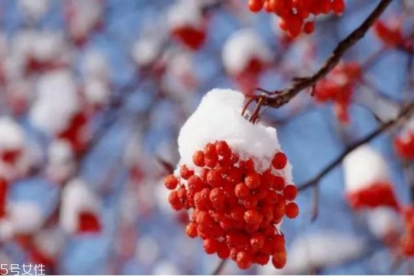 秋冬季如何養(yǎng)生 冬季養(yǎng)生小常識 秋冬季如何養(yǎng)生 冬季養(yǎng)生小常識