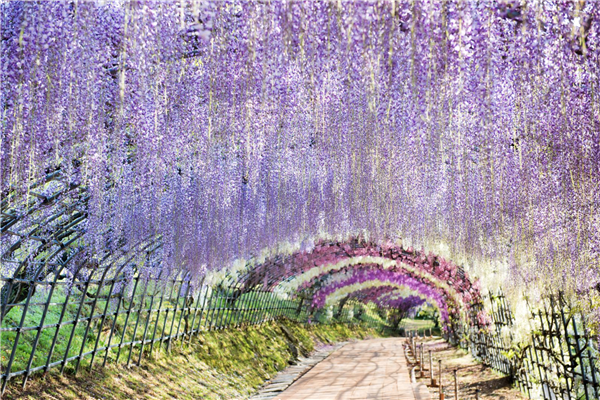 一生必去的15個旅游景點 絕世美景等著你 一生必去的15個旅游景點 絕世美景等著你