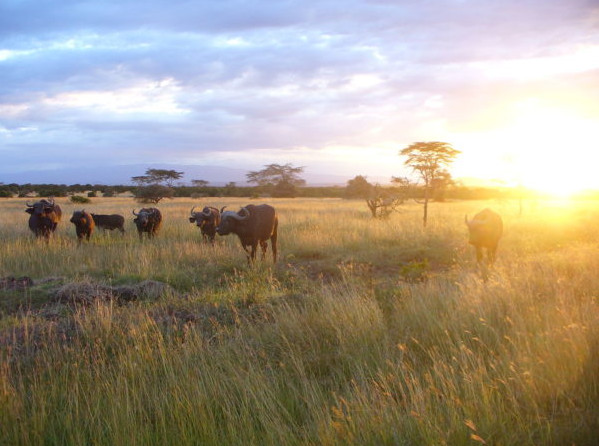 一生必去的15個旅游景點 絕世美景等著你 一生必去的15個旅游景點 絕世美景等著你