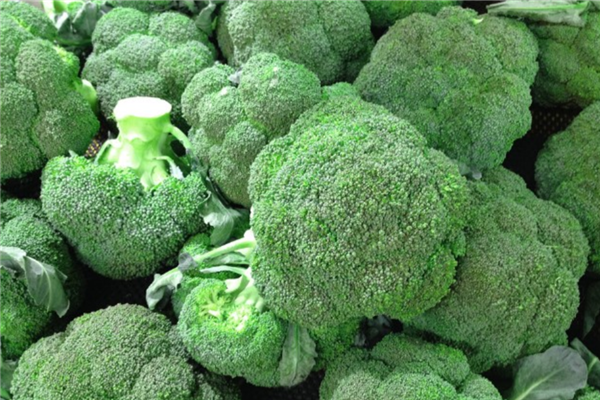 西蘭花里的蟲(chóng)子怎么辦 一招清洗蟲(chóng)卵全出來(lái) 西蘭花里的蟲(chóng)子怎么辦 一招清洗蟲(chóng)卵全出來(lái)