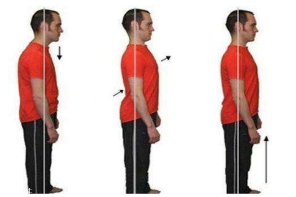 骨盆前傾的日常矯正 6個動作在家就可以練起來 骨盆前傾的日常矯正 6個動作在家就可以練起來