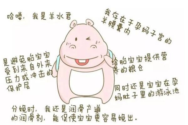 孕婦羊水多好不好 喝水多會(huì)導(dǎo)致羊水多嗎 孕婦羊水多好不好 喝水多會(huì)導(dǎo)致羊水多嗎