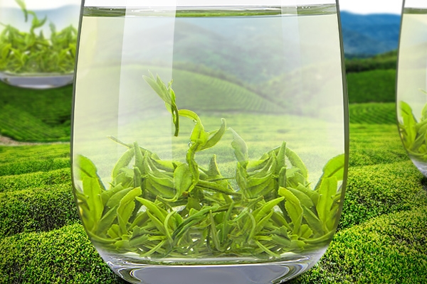 綠茶是發(fā)酵茶嗎 不屬于這個類別 綠茶是發(fā)酵茶嗎 不屬于這個類別