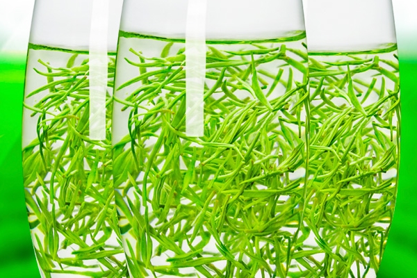 綠茶是什么味道 四種混合味道 綠茶是什么味道 四種混合味道