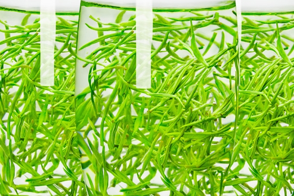 綠茶可以減肥嗎 有這個說法 綠茶可以減肥嗎 有這個說法