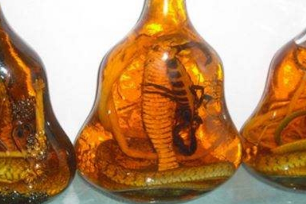 藥酒怎么泡 方法很簡單 藥酒怎么泡 方法很簡單