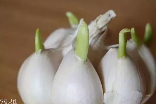 大蒜會(huì)壞嗎 發(fā)霉的大蒜不能食用 大蒜會(huì)壞嗎 發(fā)霉的大蒜不能食用