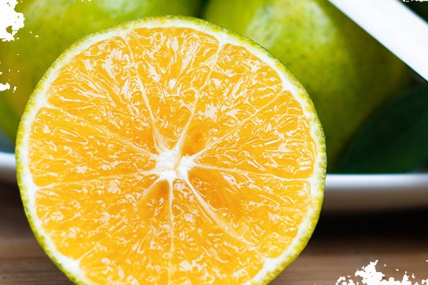 皇帝柑能放多久 常溫三至五天 皇帝柑能放多久 常溫三至五天