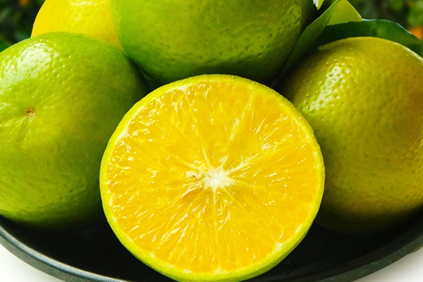 皇帝柑可以多吃嗎 每天一兩個(gè)足以 皇帝柑可以多吃嗎 每天一兩個(gè)足以