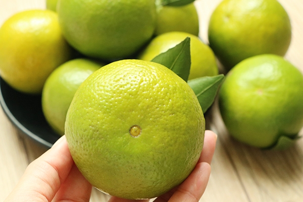 皇帝柑吃了會(huì)胖嗎 適量吃沒(méi)問(wèn)題 皇帝柑吃了會(huì)胖嗎 適量吃沒(méi)問(wèn)題