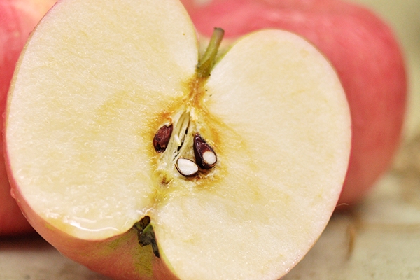 紅富士是日本的嗎 源于日本 紅富士是日本的嗎 源于日本