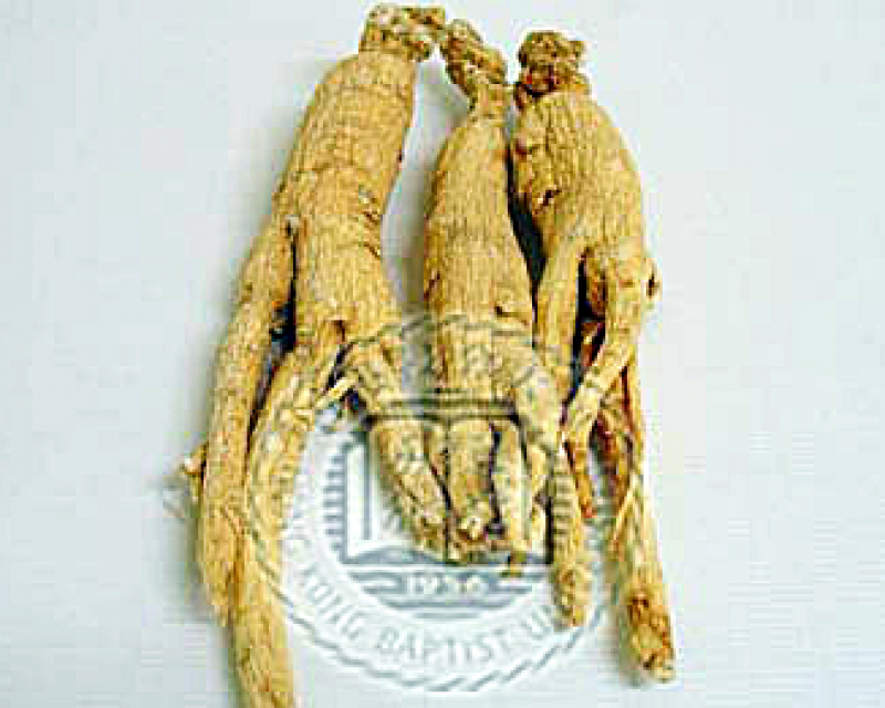 人參的種類有哪些 常見(jiàn)的三種人參 人參的種類有哪些 常見(jiàn)的三種人參