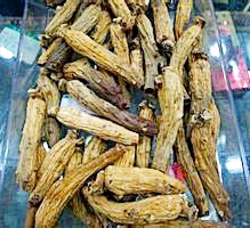 人參的種類有哪些 常見(jiàn)的三種人參 人參的種類有哪些 常見(jiàn)的三種人參