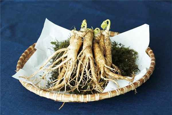 買人參怎么挑選 人參等級與外觀 買人參怎么挑選 人參等級與外觀