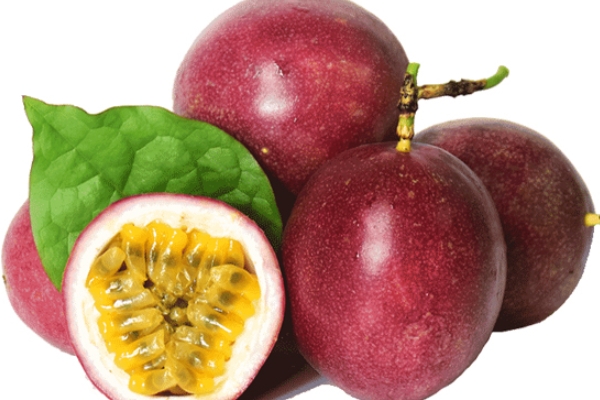 百香果怎么種 7個方法教給你 百香果怎么種 7個方法教給你