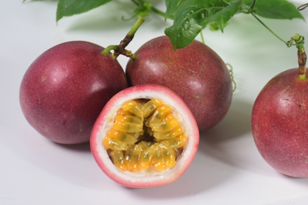 百香果怎么種 7個方法教給你 百香果怎么種 7個方法教給你