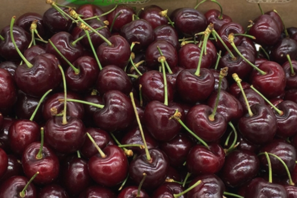 車厘子要用鹽水泡嗎 這樣更干凈 車厘子要用鹽水泡嗎 這樣更干凈