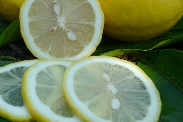 檸檬有甜的嗎 有這個(gè)品種 檸檬有甜的嗎 有這個(gè)品種