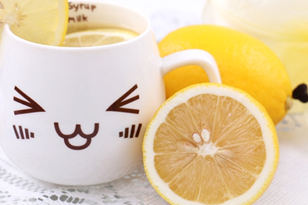 檸檬有幾種 主要是這些 檸檬有幾種 主要是這些