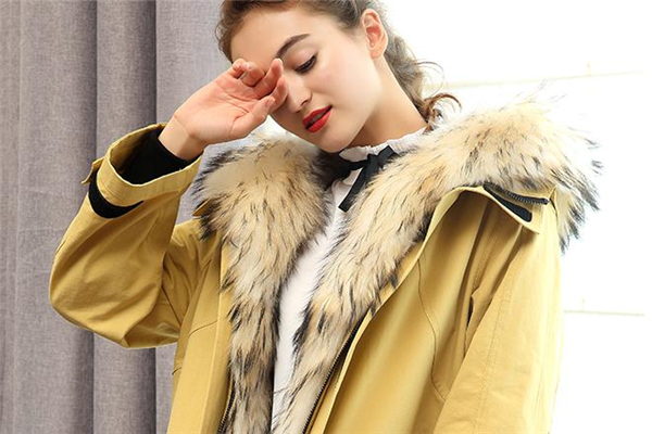 貉子毛皮草市場價(jià)格 多在千元以上