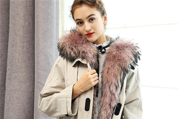 貉子毛皮草市場價(jià)格 多在千元以上