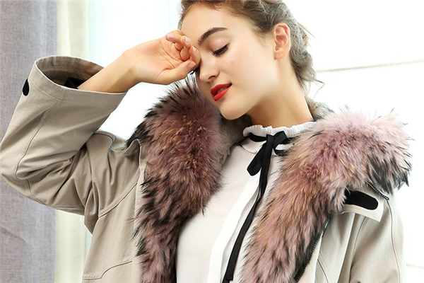 貉子毛皮草市場價(jià)格 多在千元以上