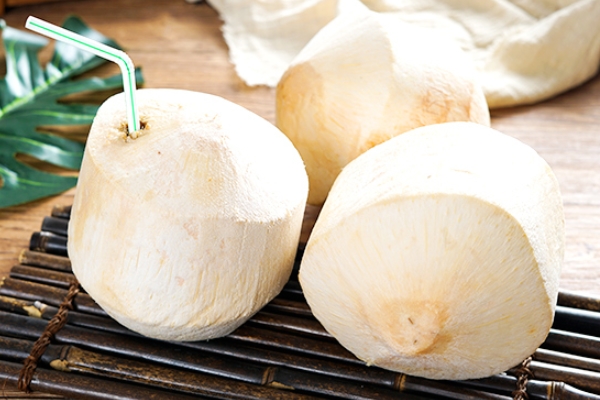 椰子是發(fā)物嗎 不屬于發(fā)物 椰子是發(fā)物嗎 不屬于發(fā)物