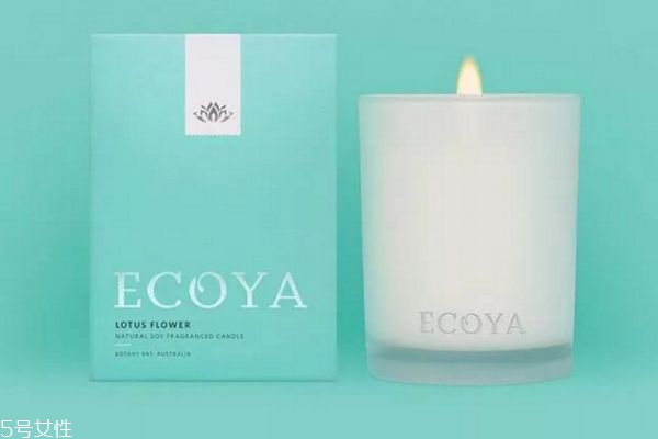 香薰哪個味道最好 這些小眾香薰值得買 香薰哪個味道最好 這些小眾香薰值得買