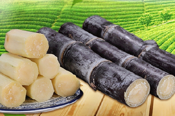 甘蔗怎么吃 有四種吃法 甘蔗怎么吃 有四種吃法