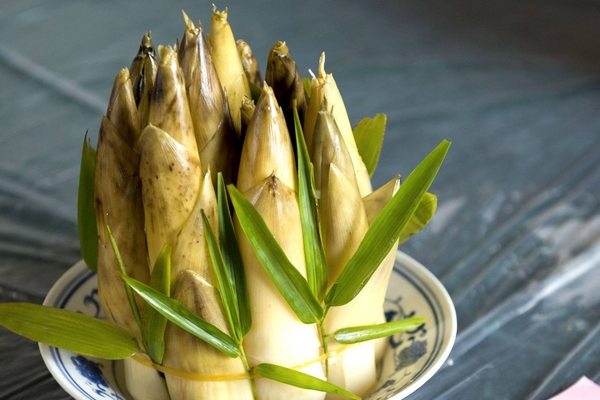 冬筍是什么竹子的筍 毛竹的筍 冬筍是什么竹子的筍 毛竹的筍