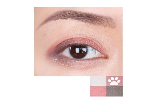 suqqu四色眼影118畫法 suqqu眼影118朱夏 suqqu四色眼影118畫法 suqqu眼影118朱夏