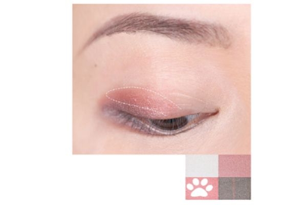 suqqu四色眼影118畫法 suqqu眼影118朱夏 suqqu四色眼影118畫法 suqqu眼影118朱夏