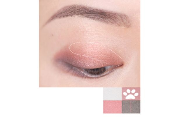 suqqu四色眼影118畫法 suqqu眼影118朱夏 suqqu四色眼影118畫法 suqqu眼影118朱夏