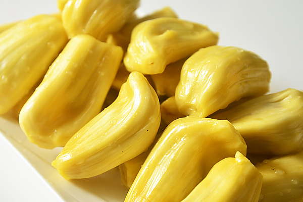 菠蘿蜜越大越好吃嗎 菠蘿蜜是否越大越好 菠蘿蜜越大越好吃嗎 菠蘿蜜是否越大越好