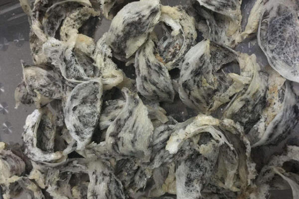 毛燕窩好嗎 不宜長期食用 毛燕窩好嗎 不宜長期食用